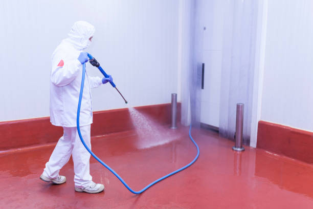 Best Roof Washing  in Judsonia, AR