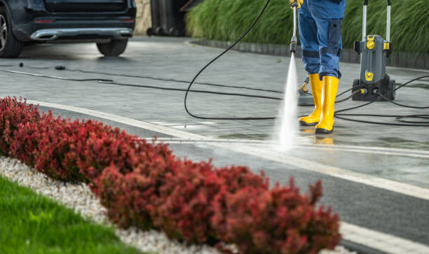 Best Building Exterior Washing  in Judsonia, AR