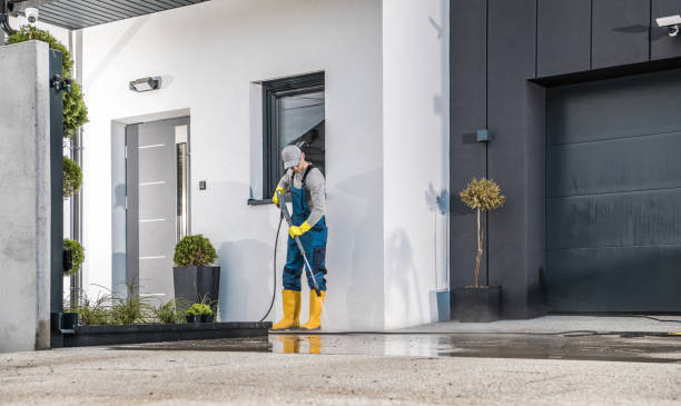 Animal Enclosure Cleaning in Judsonia, AR